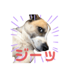オレの名はテツ。（個別スタンプ：12）