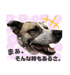 オレの名はテツ。（個別スタンプ：16）