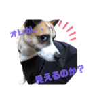 オレの名はテツ。（個別スタンプ：22）