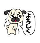 仔犬のパグ蔵。（個別スタンプ：9）