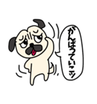 仔犬のパグ蔵。（個別スタンプ：38）