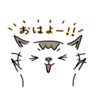 もかぁ2（個別スタンプ：1）