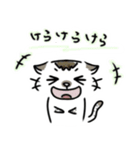 もかぁ2（個別スタンプ：12）