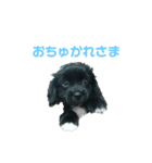 梵天丸でちゅ（個別スタンプ：2）