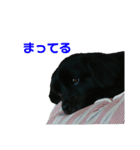梵天丸でちゅ（個別スタンプ：3）