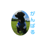 梵天丸でちゅ（個別スタンプ：16）