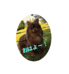 おはよーチョコたん（個別スタンプ：9）