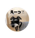 ぼくの名前はぐりぐりお（個別スタンプ：3）