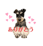 ぼくの名前はぐりぐりお（個別スタンプ：6）