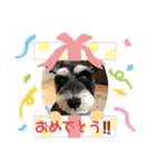ぼくの名前はぐりぐりお（個別スタンプ：16）