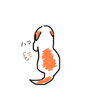 ジョン☆マイケル（個別スタンプ：8）