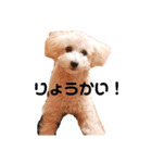 門吉スタンプ（個別スタンプ：1）