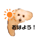 門吉スタンプ（個別スタンプ：2）