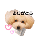 門吉スタンプ（個別スタンプ：8）