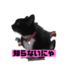 chichi ＆ lucky（個別スタンプ：1）