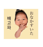 いちかちゃんスペシャル（個別スタンプ：1）