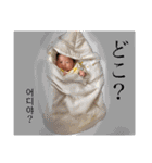 いちかちゃんスペシャル（個別スタンプ：9）