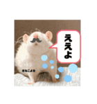 ファンシーラットのきなこ（個別スタンプ：3）