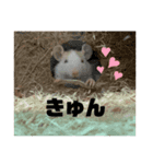 ファンシーラットのきなこ（個別スタンプ：7）