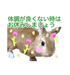 うさぎのうさこ4コロナウイルスバージョン（個別スタンプ：14）