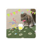 はるくん。そのよん（個別スタンプ：8）