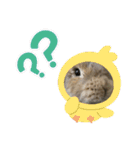 はるくん。そのよん（個別スタンプ：17）