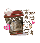はるくん。そのよん（個別スタンプ：19）