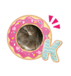 はるくん。そのよん（個別スタンプ：23）