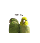 ビップとラップとコップ（個別スタンプ：22）
