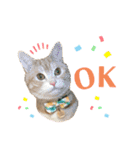 うちの猫、ももたろうくん。Part2（個別スタンプ：14）