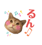 うちの猫、ももたろうくん。Part2（個別スタンプ：25）