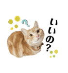 うちの猫、ももたろうくん。Part2（個別スタンプ：32）