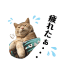 うちの猫、ももたろうくん。Part2（個別スタンプ：34）