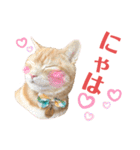 うちの猫、ももたろうくん。Part2（個別スタンプ：37）
