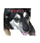 I like Becky（個別スタンプ：6）