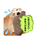 goldenretriever ALOHA（個別スタンプ：4）