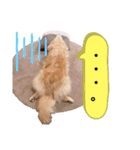 goldenretriever ALOHA（個別スタンプ：5）