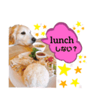 goldenretriever ALOHA（個別スタンプ：6）