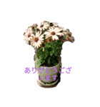 ちょっとひと息お花でリラックス（個別スタンプ：6）