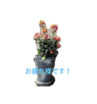 ちょっとひと息お花でリラックス（個別スタンプ：7）