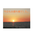 ちょっとひと息お花でリラックス（個別スタンプ：8）