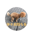 モルママの日常（個別スタンプ：1）