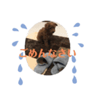 モルママの日常（個別スタンプ：3）