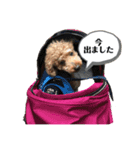 モルママの日常（個別スタンプ：4）