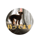 モルママの日常（個別スタンプ：6）