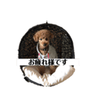 モルママの日常（個別スタンプ：15）
