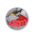 シーズー親子のまいにち③（個別スタンプ：29）