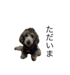 boss000000（個別スタンプ：3）