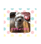 ぷーたろーとその仲間達（個別スタンプ：7）