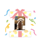 ぷーたろーとその仲間達（個別スタンプ：16）